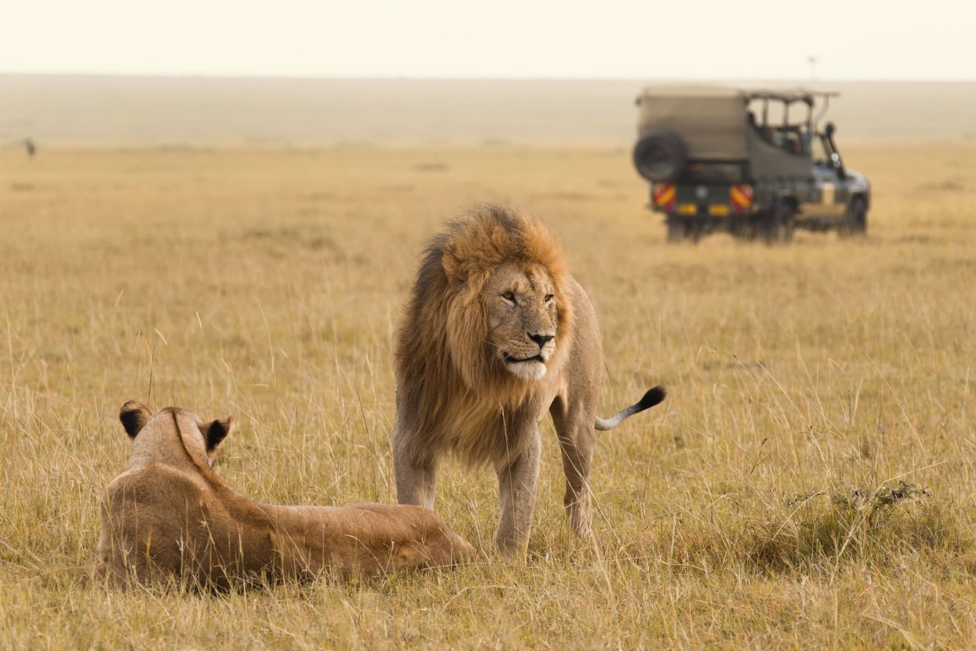 10-Day Kenya Safari and Diani Beach Holiday