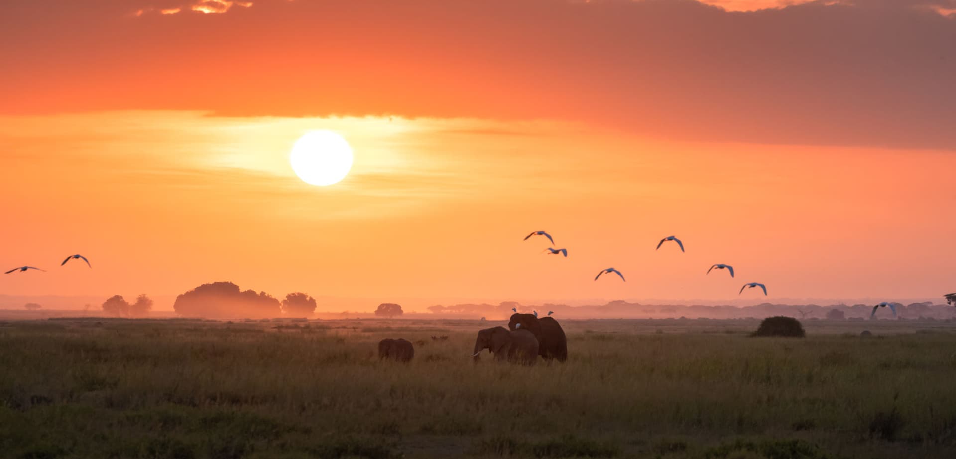 Day 2: Full day private game drives in Amboseli National Park