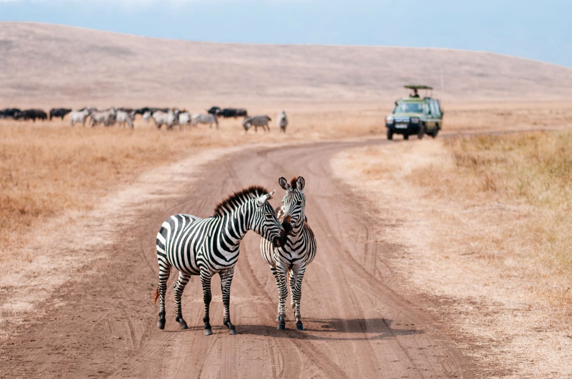 9-Day Tanzania Safari & Zanzibar Beach Holiday