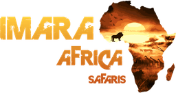 Imara Africa Safaris