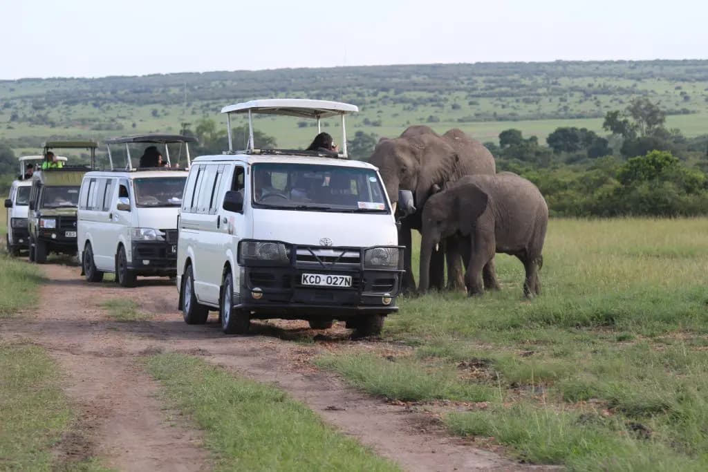 4×4 Safari Van — safari photo 2
