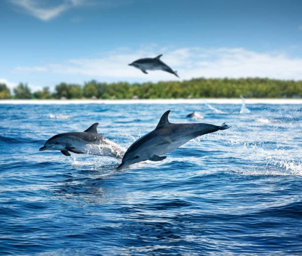 Zanzibar