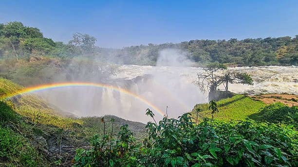 3-Day Ultra-Luxury Uganda Safari to Murchison Falls and Ziwa