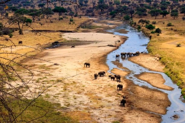 10 Days Two Nations Safari Kenya&Tanzania (luxury)