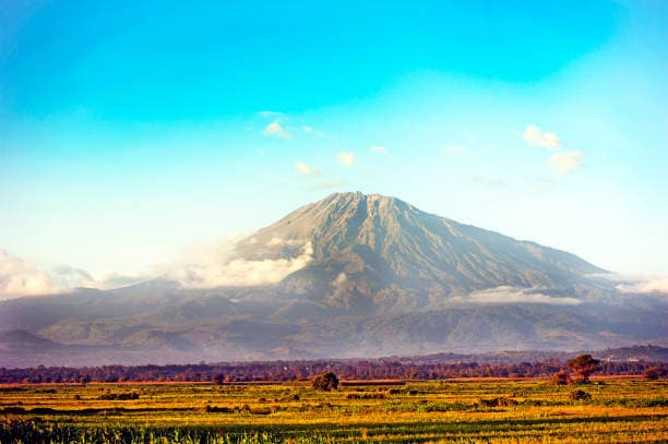 Tanzania photo 6