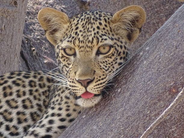 Tanzania photo 1