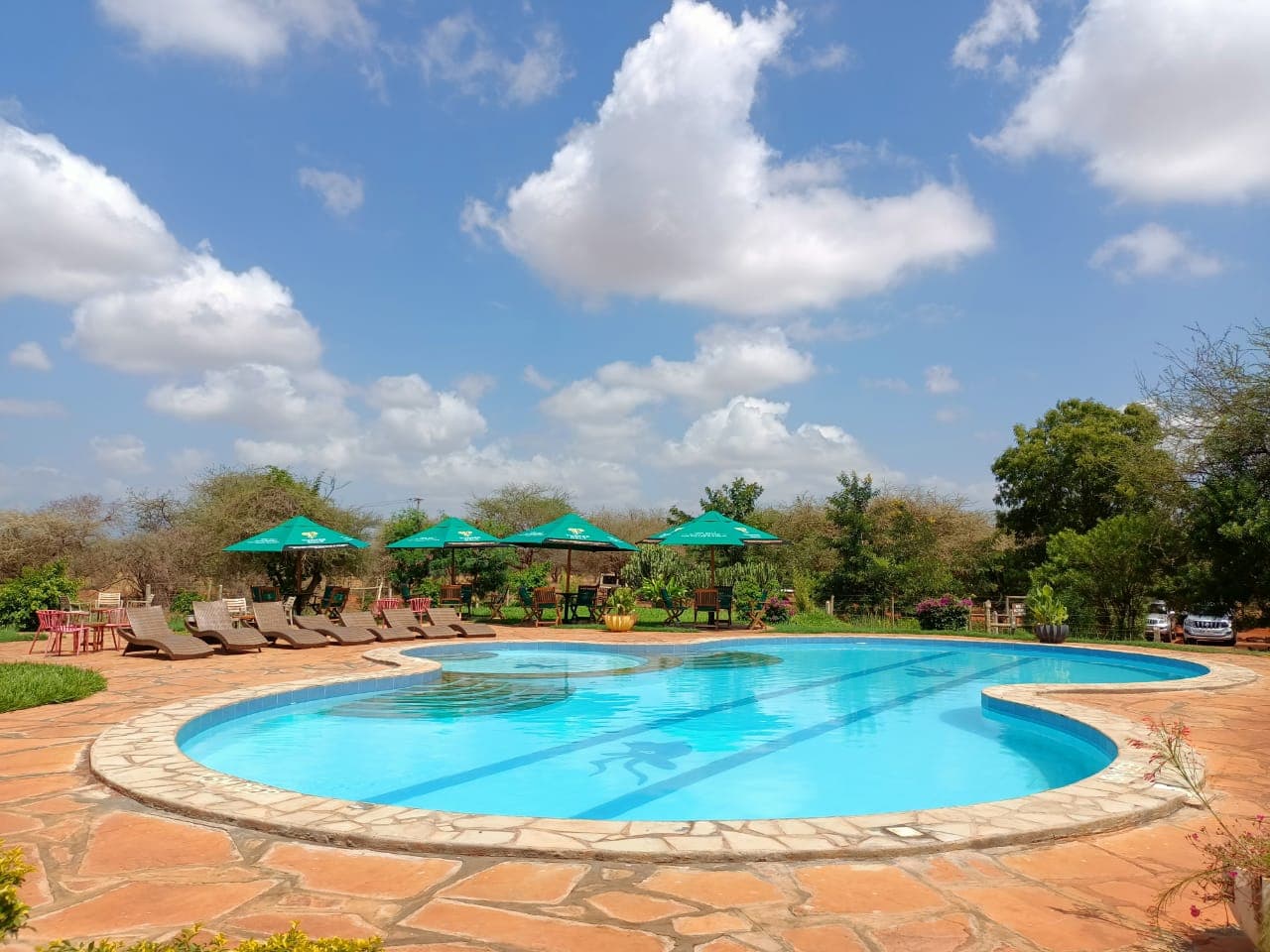 Ngutuni Lodge — safari photo 2