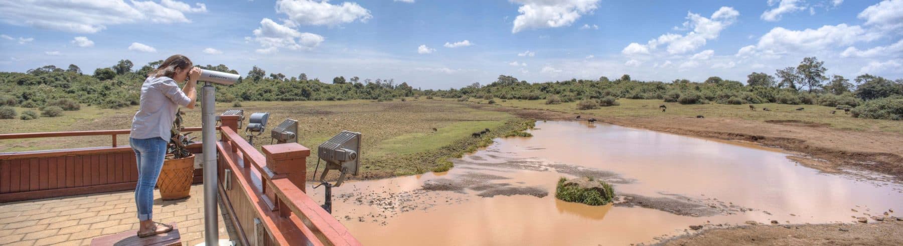 The Ark Lodge — safari photo 5