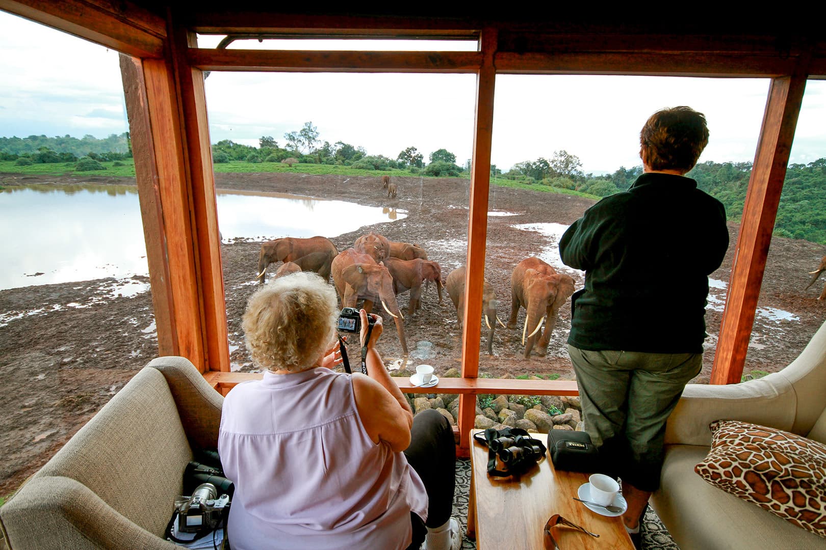 The Ark Lodge — safari photo 4