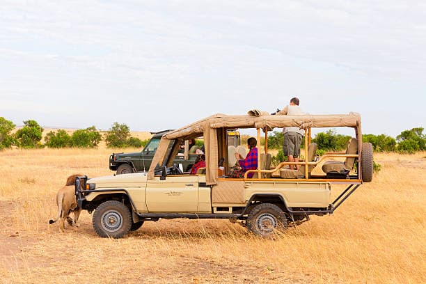 Open-Sided Land Cruiser — Imara Africa Safaris vehicle
