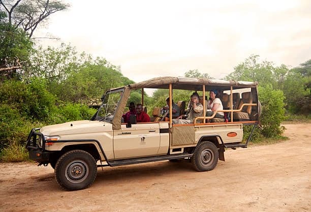 Open-Sided Land Cruiser — safari photo 4