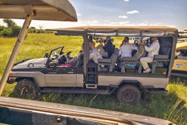 Open-Sided Land Cruiser — safari photo 3
