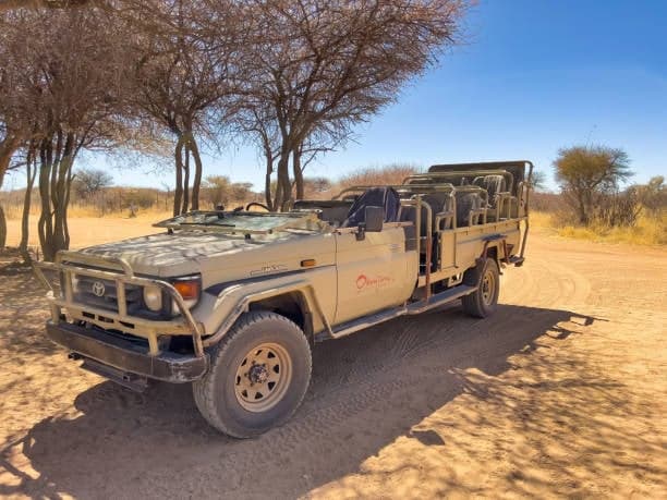 Open-Sided Land Cruiser — safari photo 2