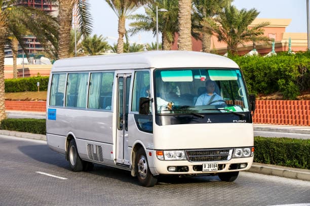 Mini Bus / Rosa Bus — safari photo 2