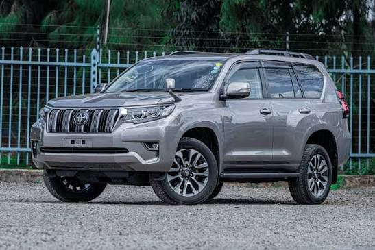 Land Cruiser Prado / V8 — safari photo 2