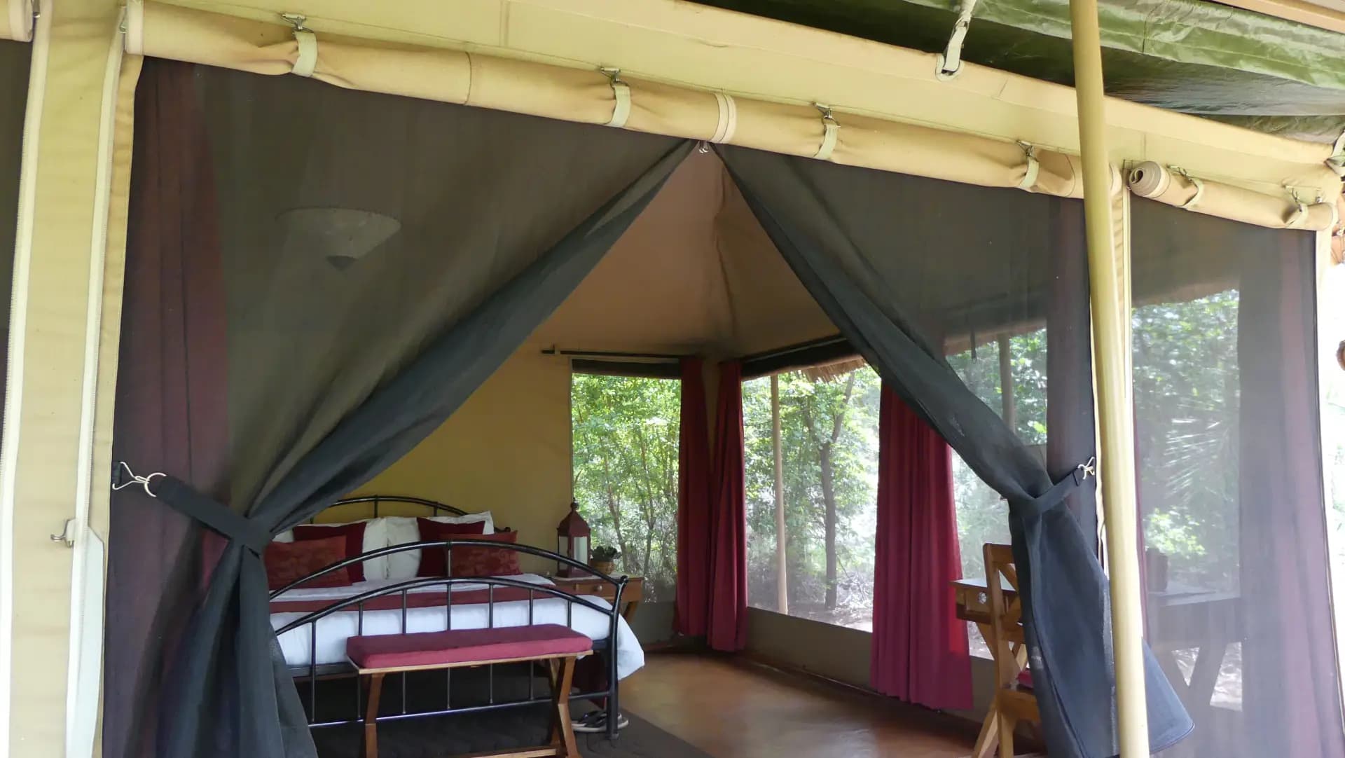 Ikweta Safari Camp — safari photo 4