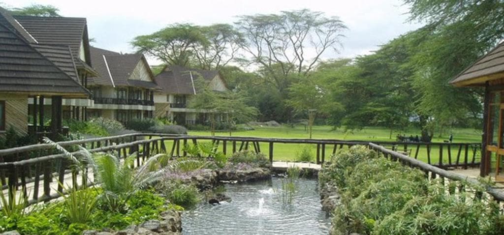 Sawela Lodge — safari photo 3