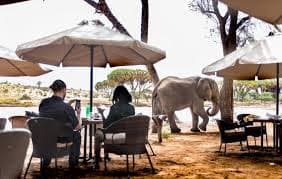 Elephant Bedroom Camp — photo 4