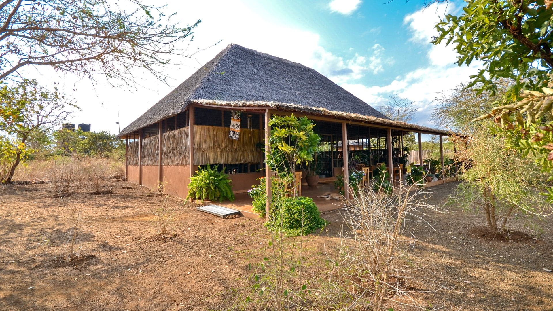 Ikweta Safari Camp — safari photo 5