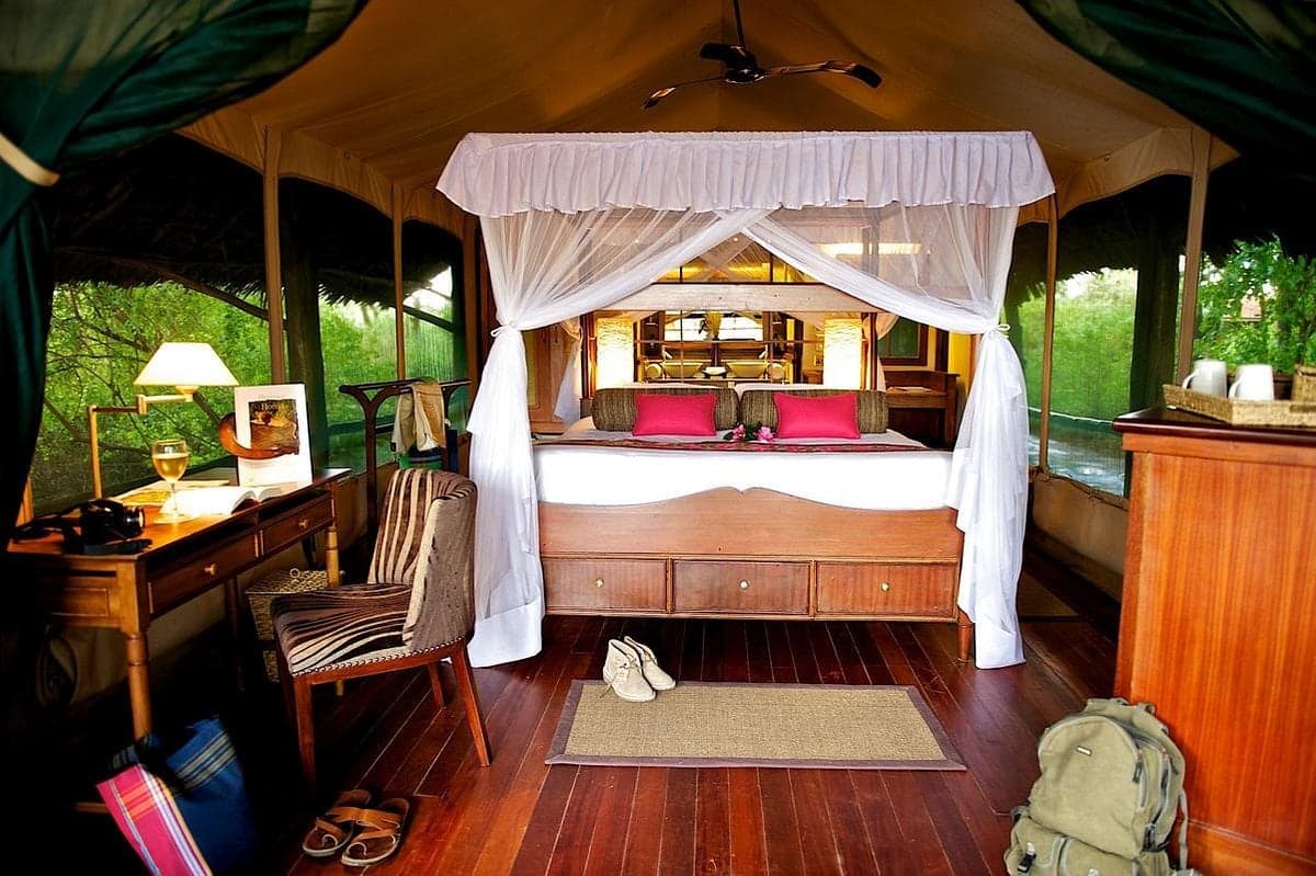 Samburu Interepids — safari photo 5