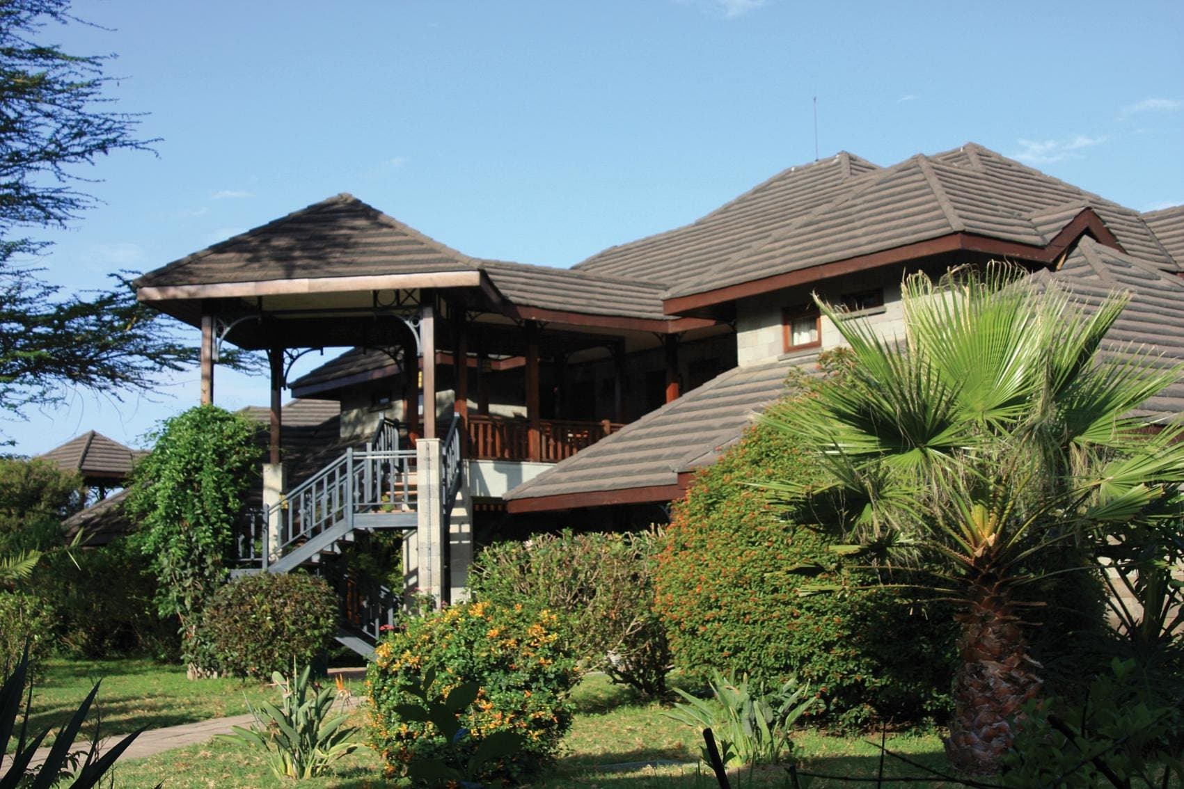 Lake Naivasha Simba Lodge — safari photo 4