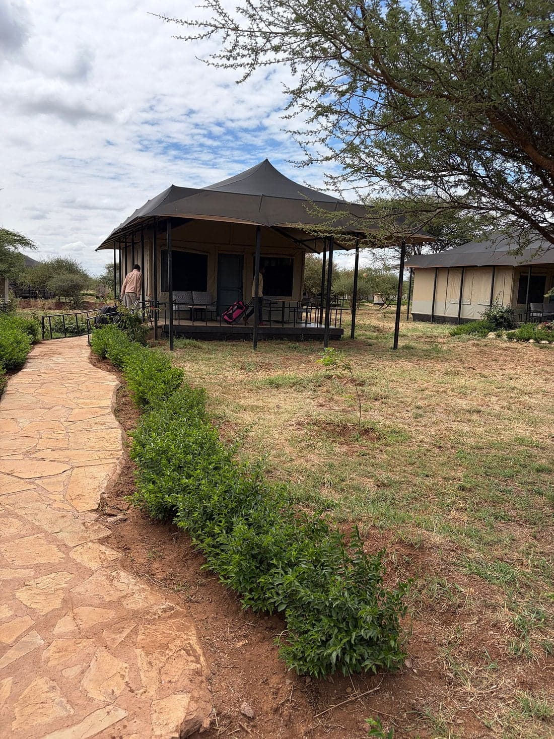Praro Amboseli — safari photo 2