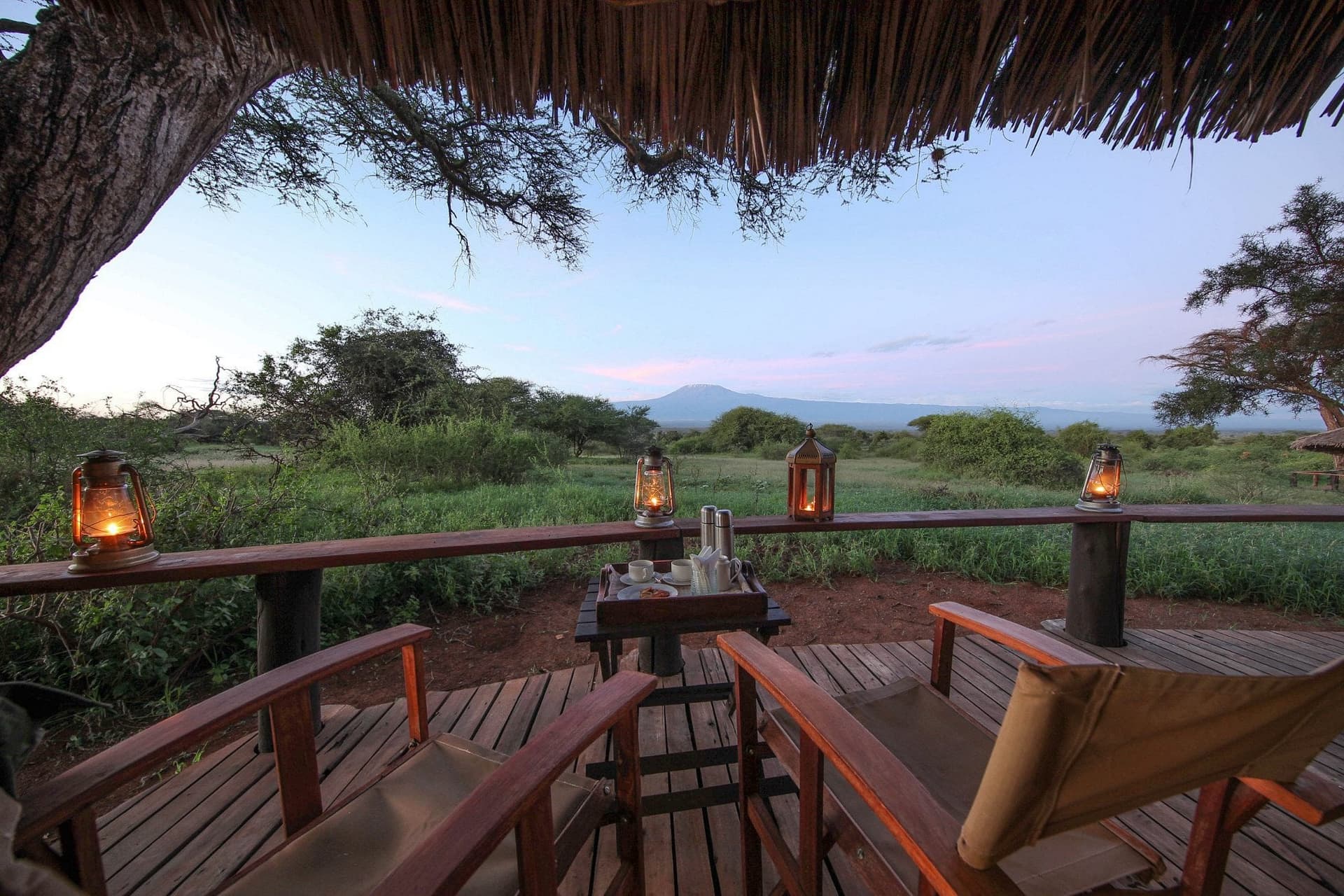 The Tawi Lodge — safari photo 4