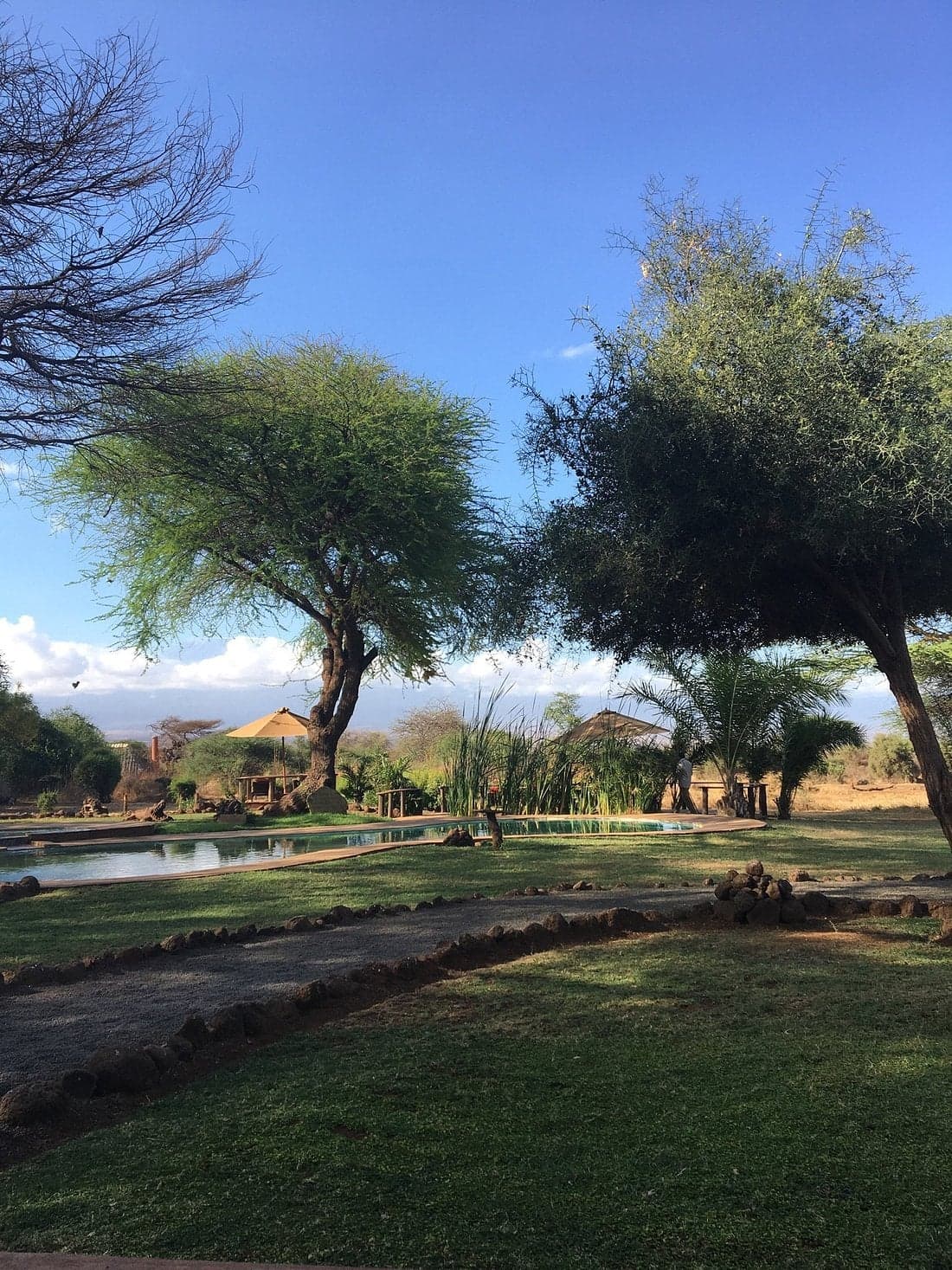 The Tawi Lodge — safari photo 3