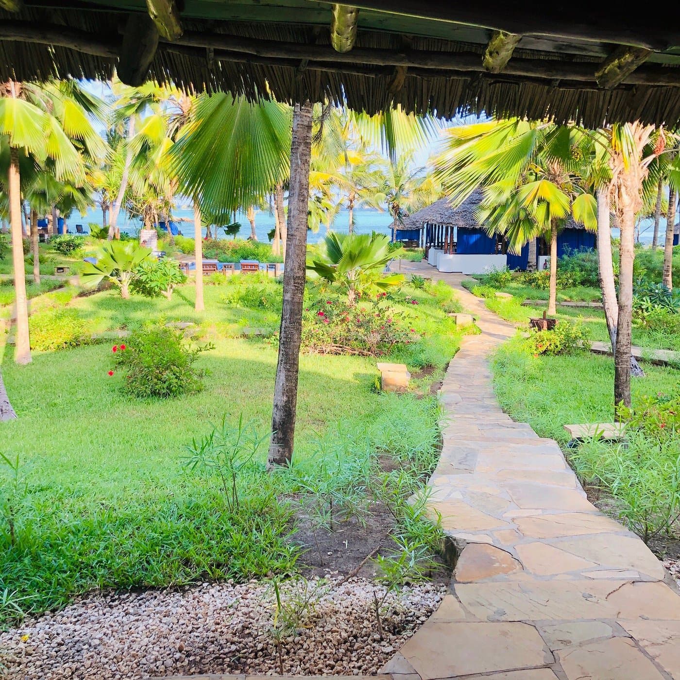 The Plams Zanzibar — safari photo 5