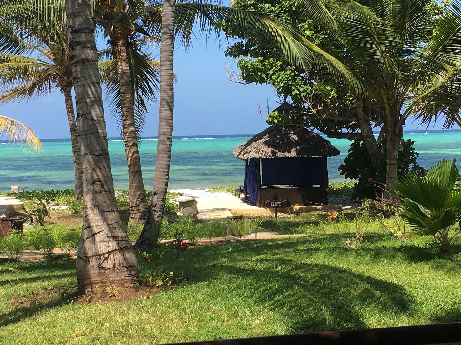 The Plams Zanzibar — safari photo 4