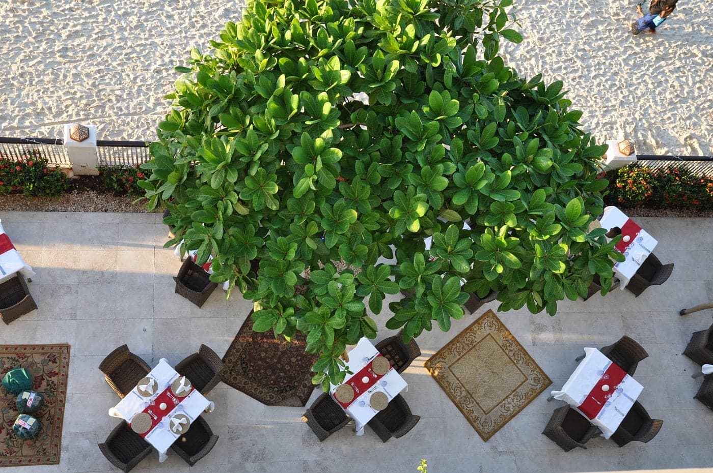 Park Hyatt Zanzibar