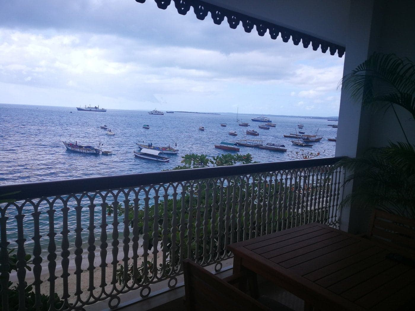 Park Hyatt Zanzibar — safari photo 3