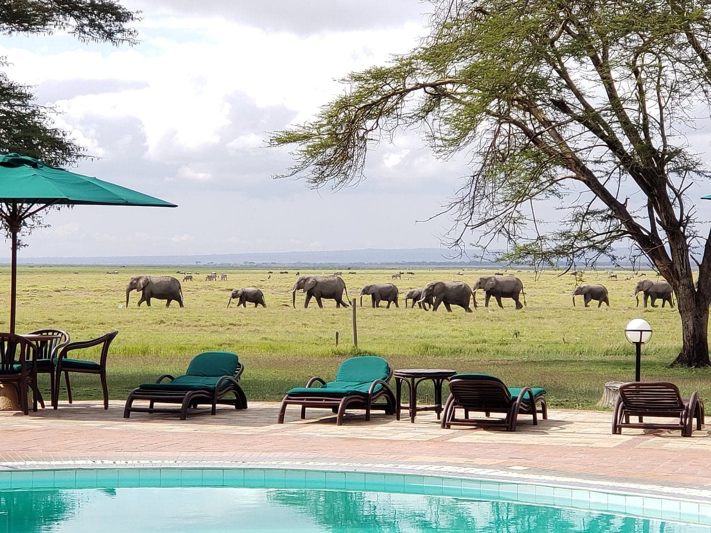 Ol Tukai Lodge — safari photo 3
