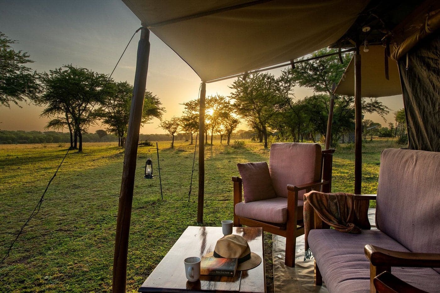 Serengeti Under Canvas — safari photo 5