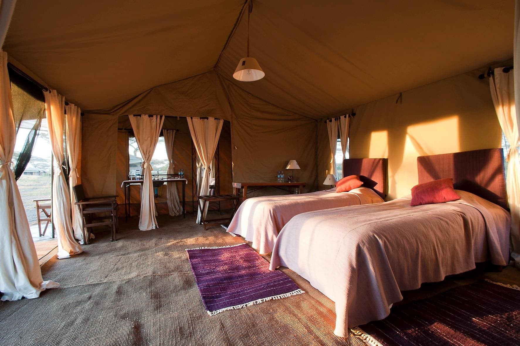 Serengeti Under Canvas — safari photo 2
