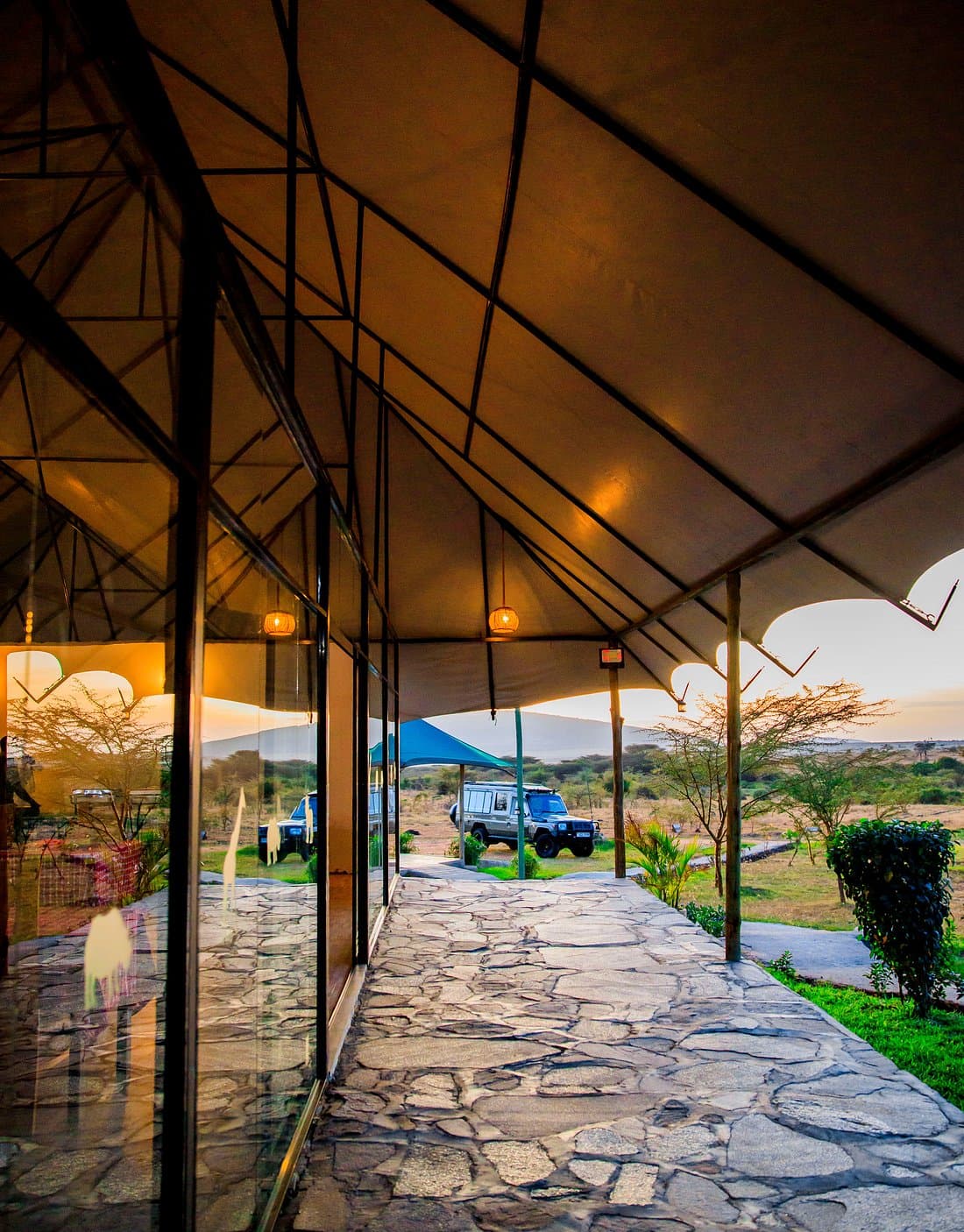 Endeem Mara Resort — safari photo 4