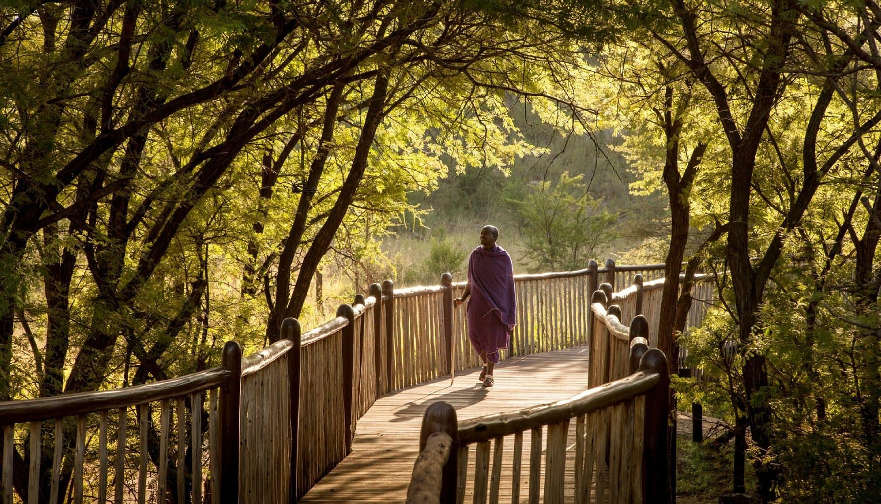 Four Seasons — safari photo 5