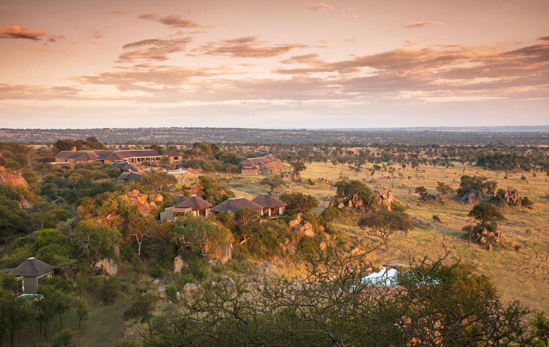 Four Seasons — safari photo 4