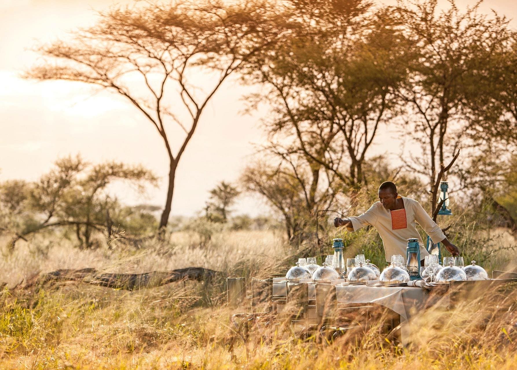 Four Seasons — safari photo 2