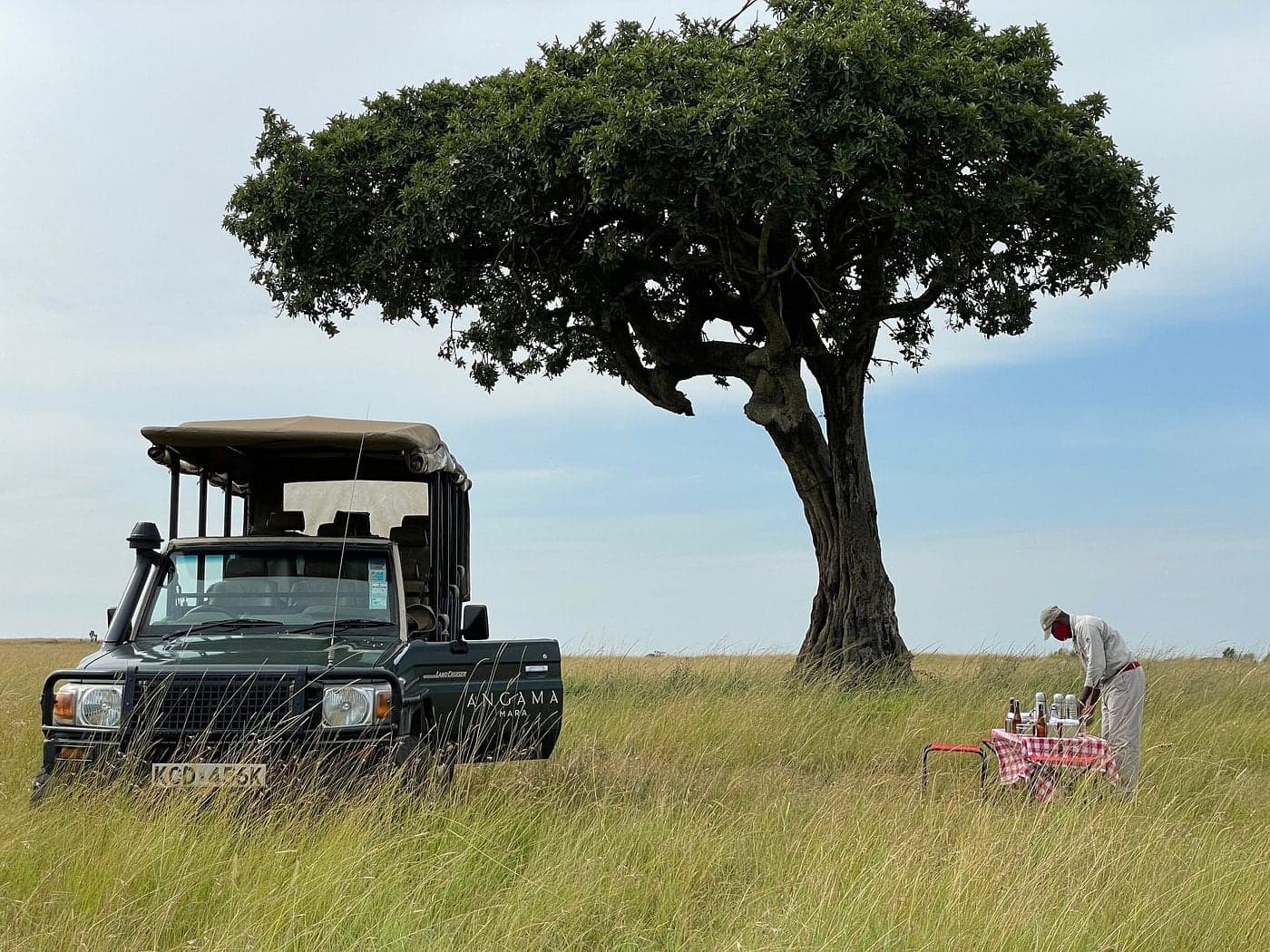 4-Day Masai Mara, Lake Nakuru & Lake Naivasha Safari