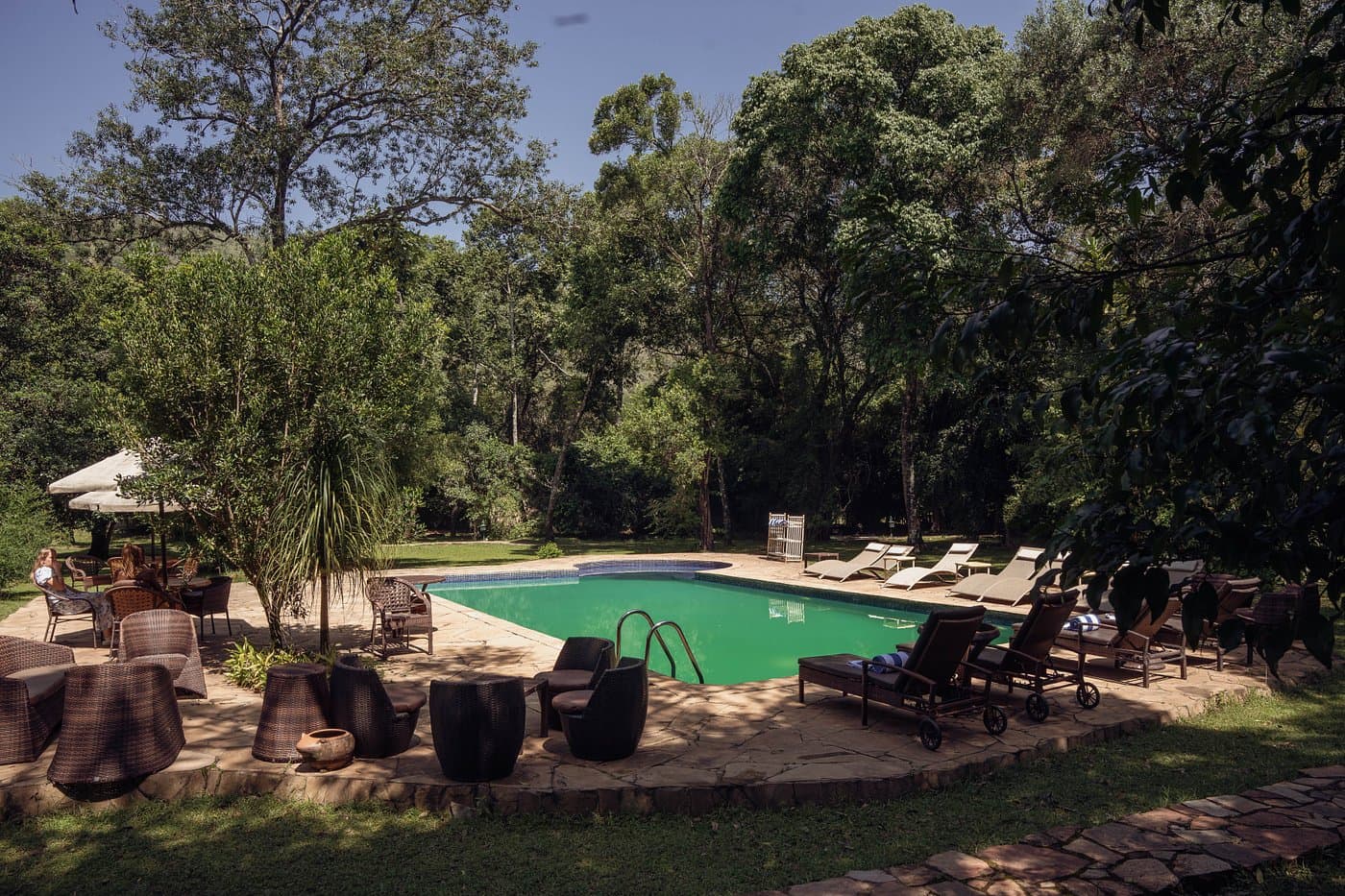 Mara River Camp — safari photo 4