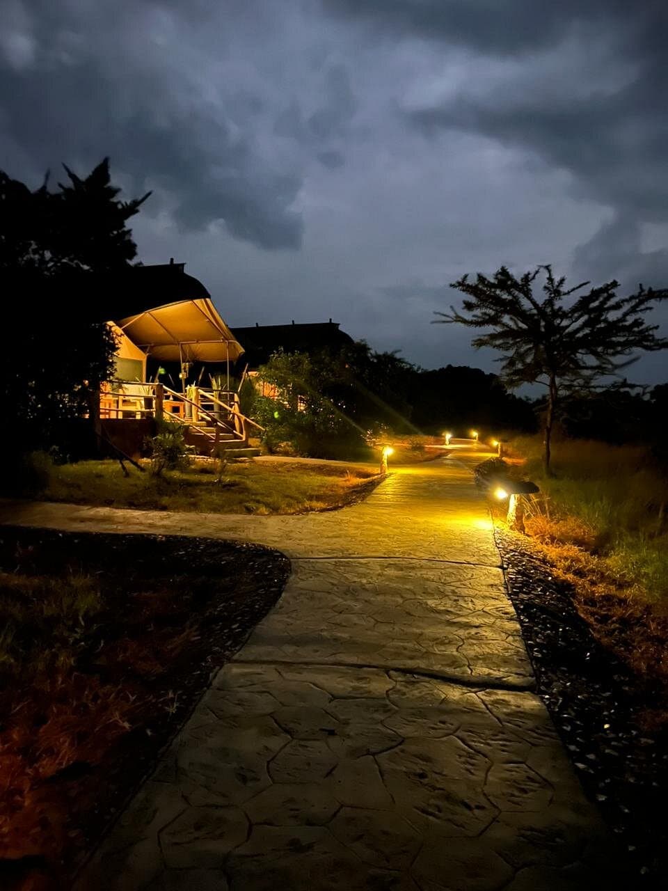 Mara Maisha Camp — safari photo 4