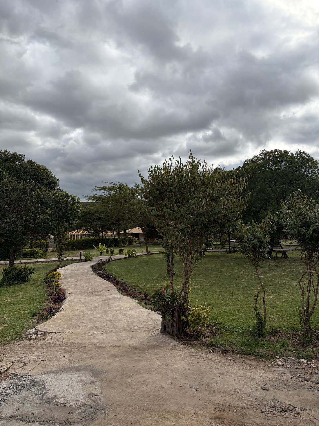 Wildnest Mara Camp — safari photo 5