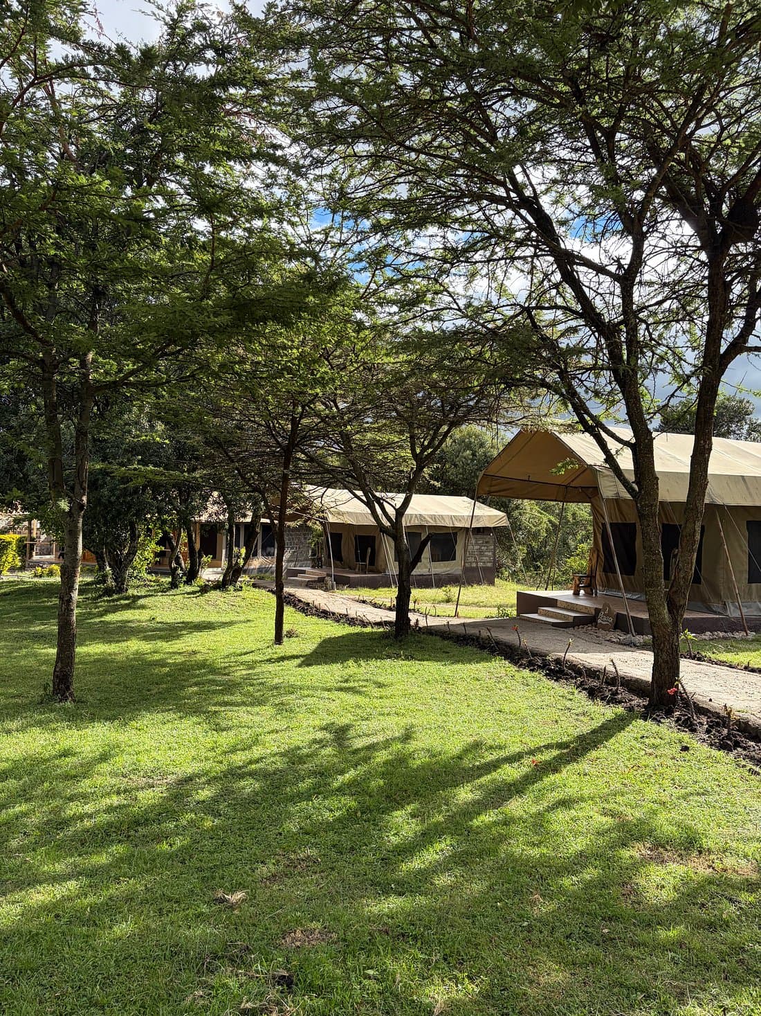 Wildnest Mara Camp — safari photo 4