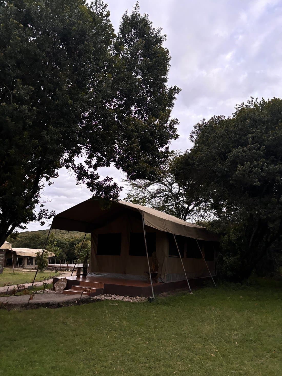 Wildnest Mara Camp — safari photo 3