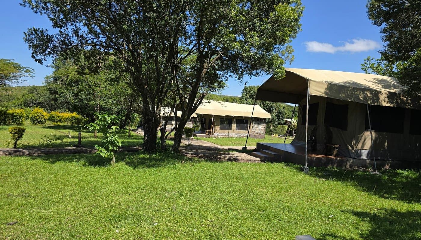 Wildnest Mara Camp — safari photo 2