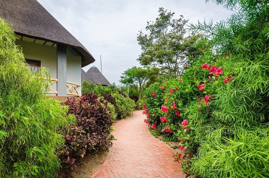 Emburara Farm Lodge — safari photo 2