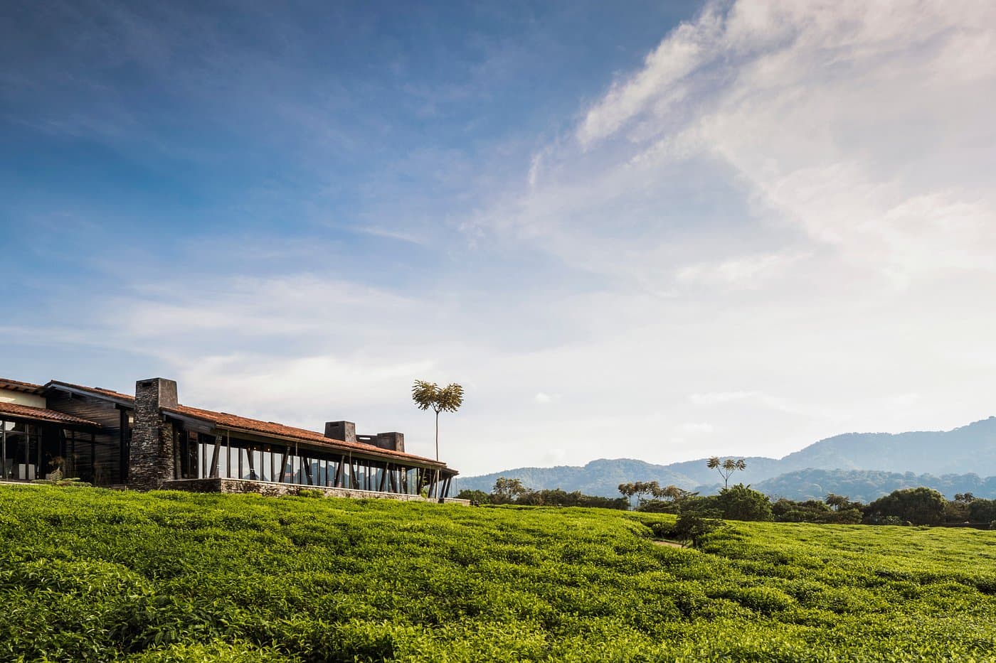 One&Only Nyungwe House — safari photo 4