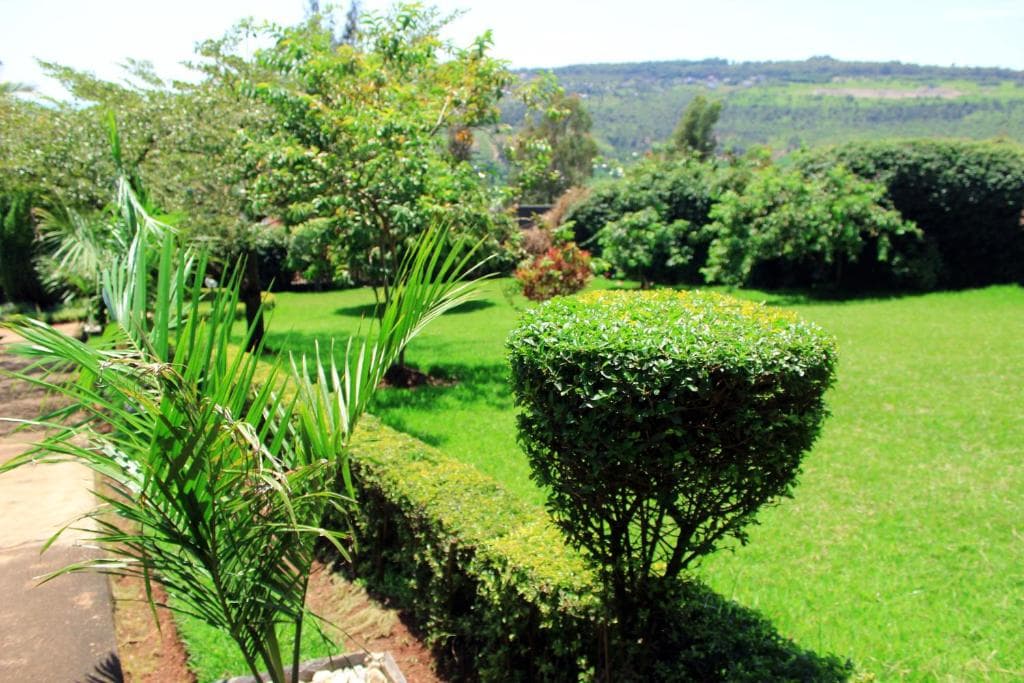 Rebero Resort — safari photo 4
