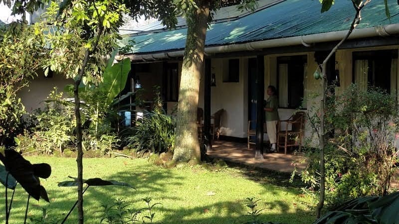 Travellers Rest Hotel — safari photo 3